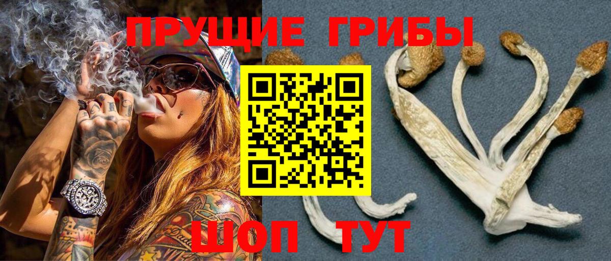 Псилоцибиновые грибы ЛСД Нефтекумск