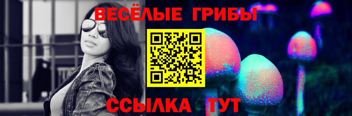 Галлюциногенные грибы Psilocybine cubensis  Вход с VPN  Нефтекумск  Галлюциногенные грибы Magic Shrooms 